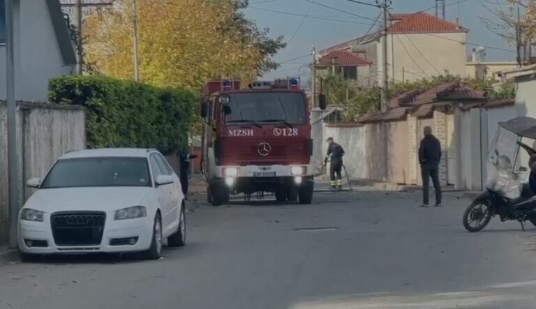 Elbasan-okokok-770x444-1.jpg