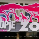 zoo-780x439-1.png