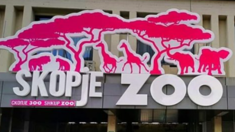 zoo-780x439-1.png