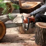 depositphotos_19549453-Lumberjack-cutting-a-tree-trunk-with-chainsaw.webp.webp