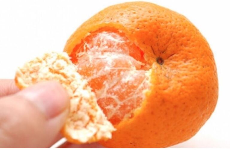 mandarina.jpg