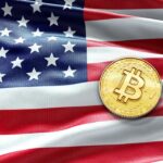 usa-flag-bitcoin-gID_7.png@webp.jpg