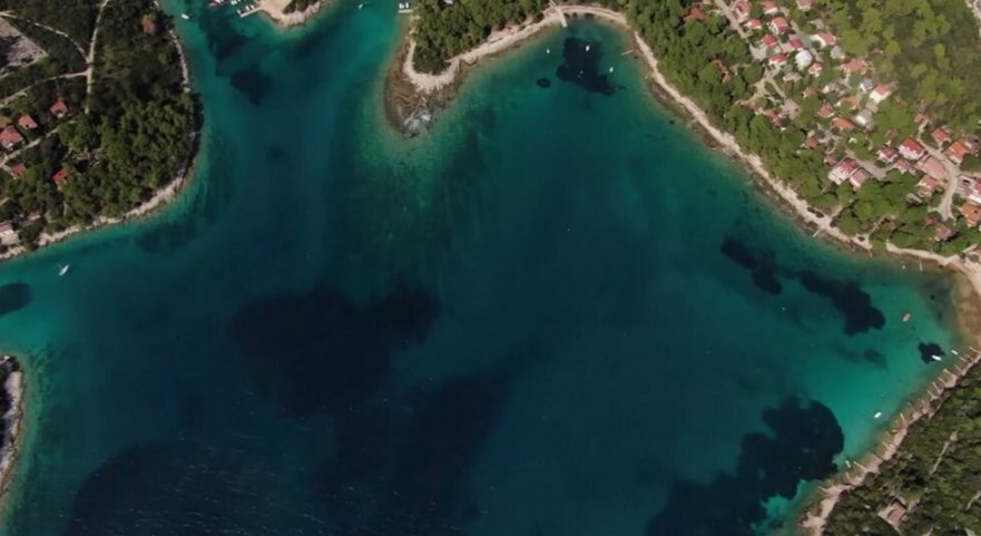 Studimi: Oqeanet dikur ishin të gjelbra, në të ardhmen mund të bëhen vjollcë