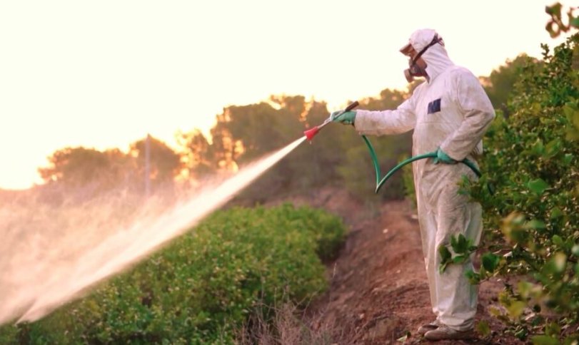 Pesticidet kërcënojnë zinxhirin ushqimor